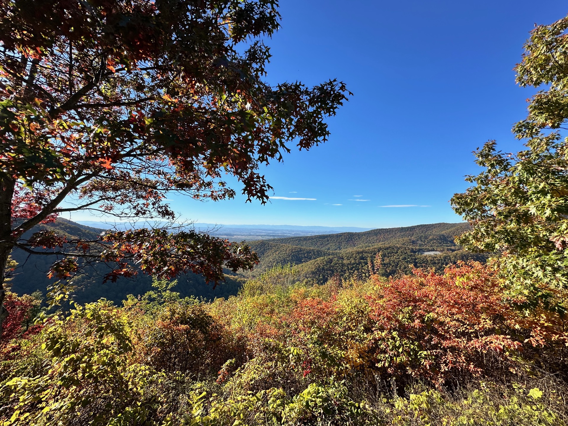 Shenandoah photo 5