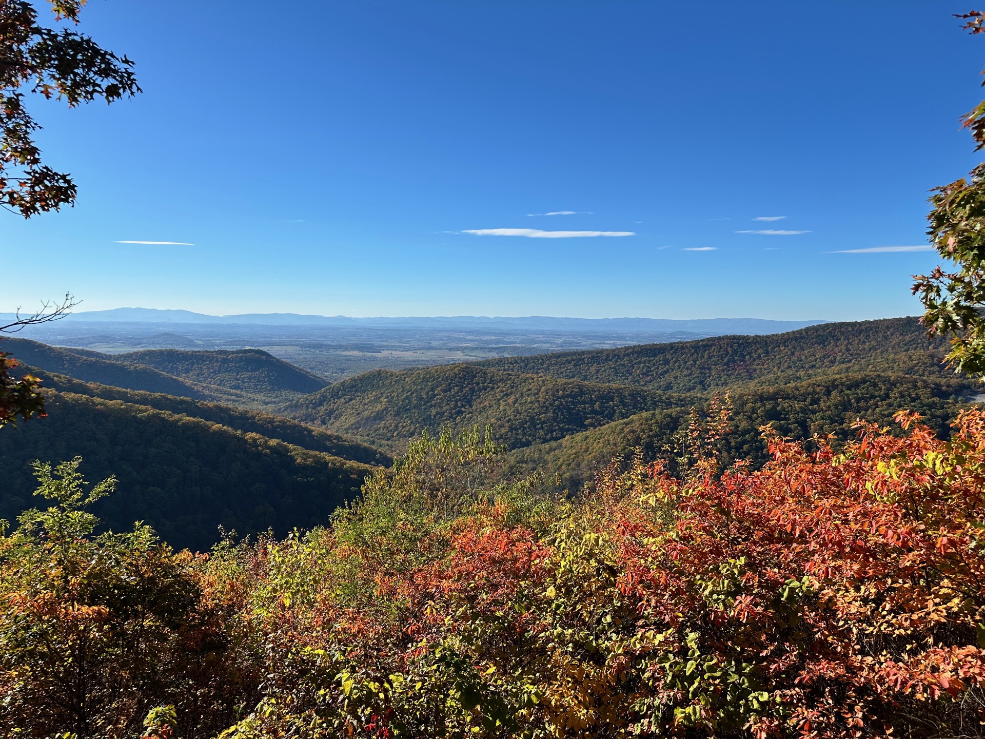 Shenandoah photo 6