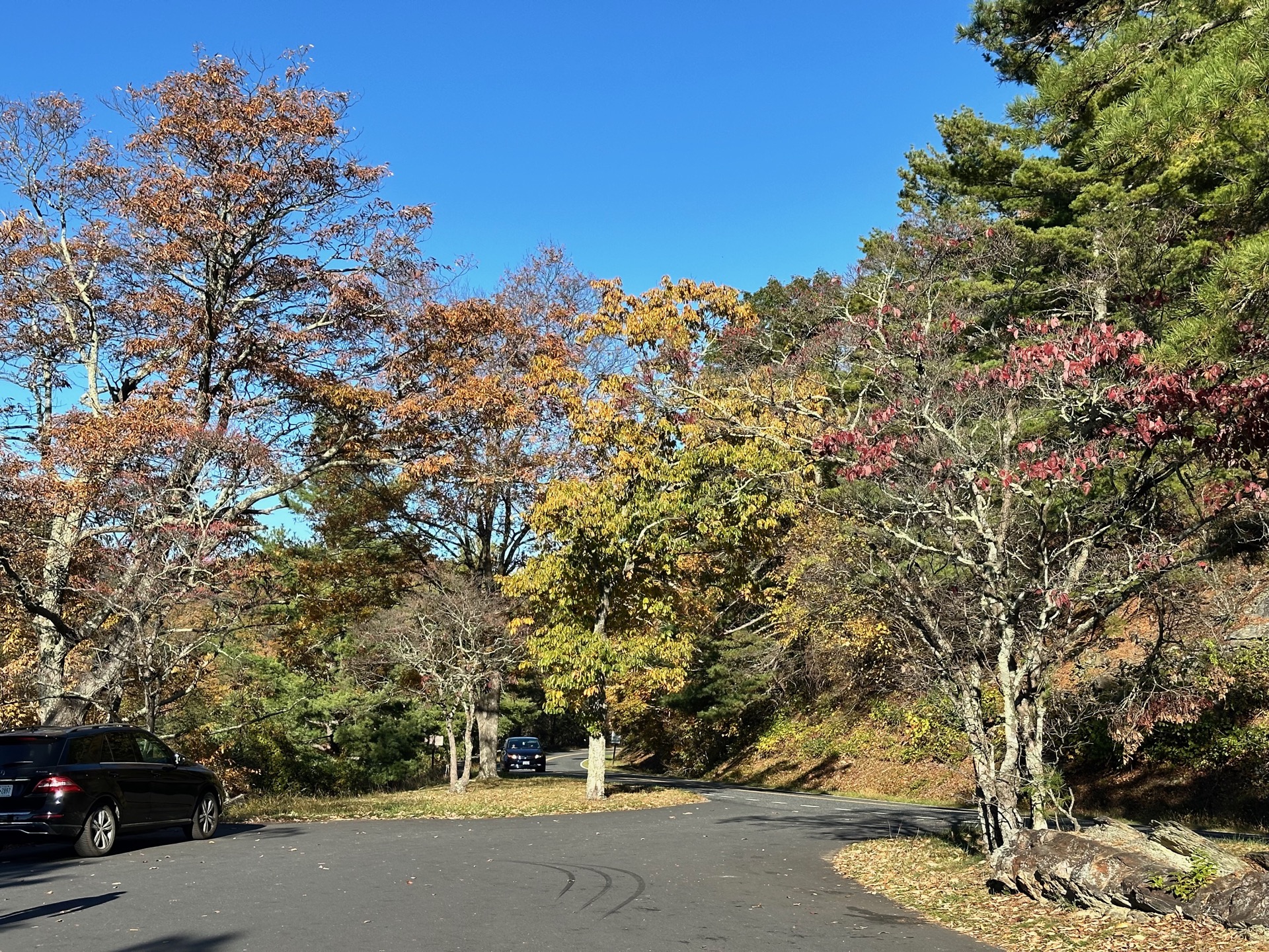 Shenandoah photo 8