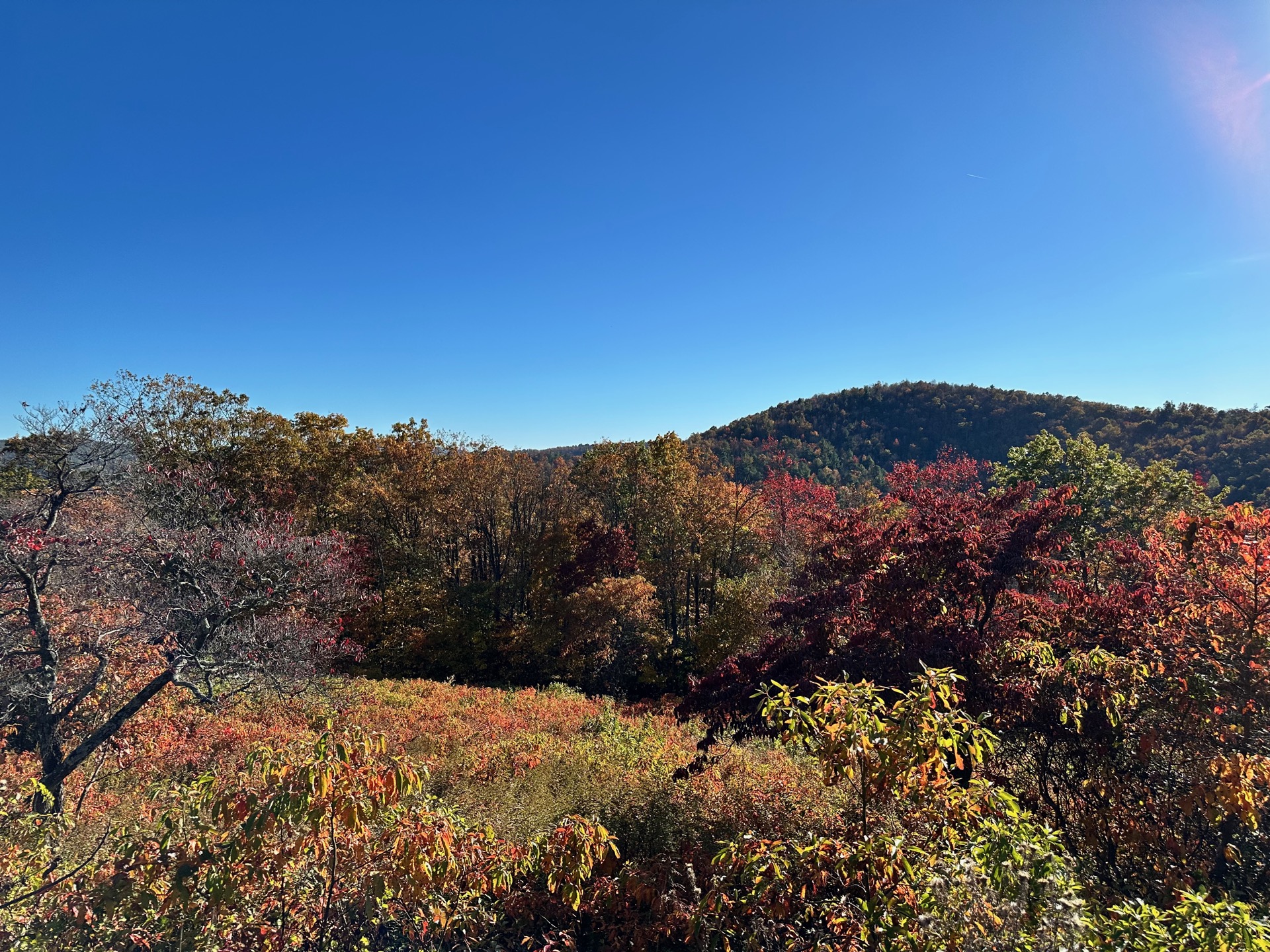 Shenandoah photo 9