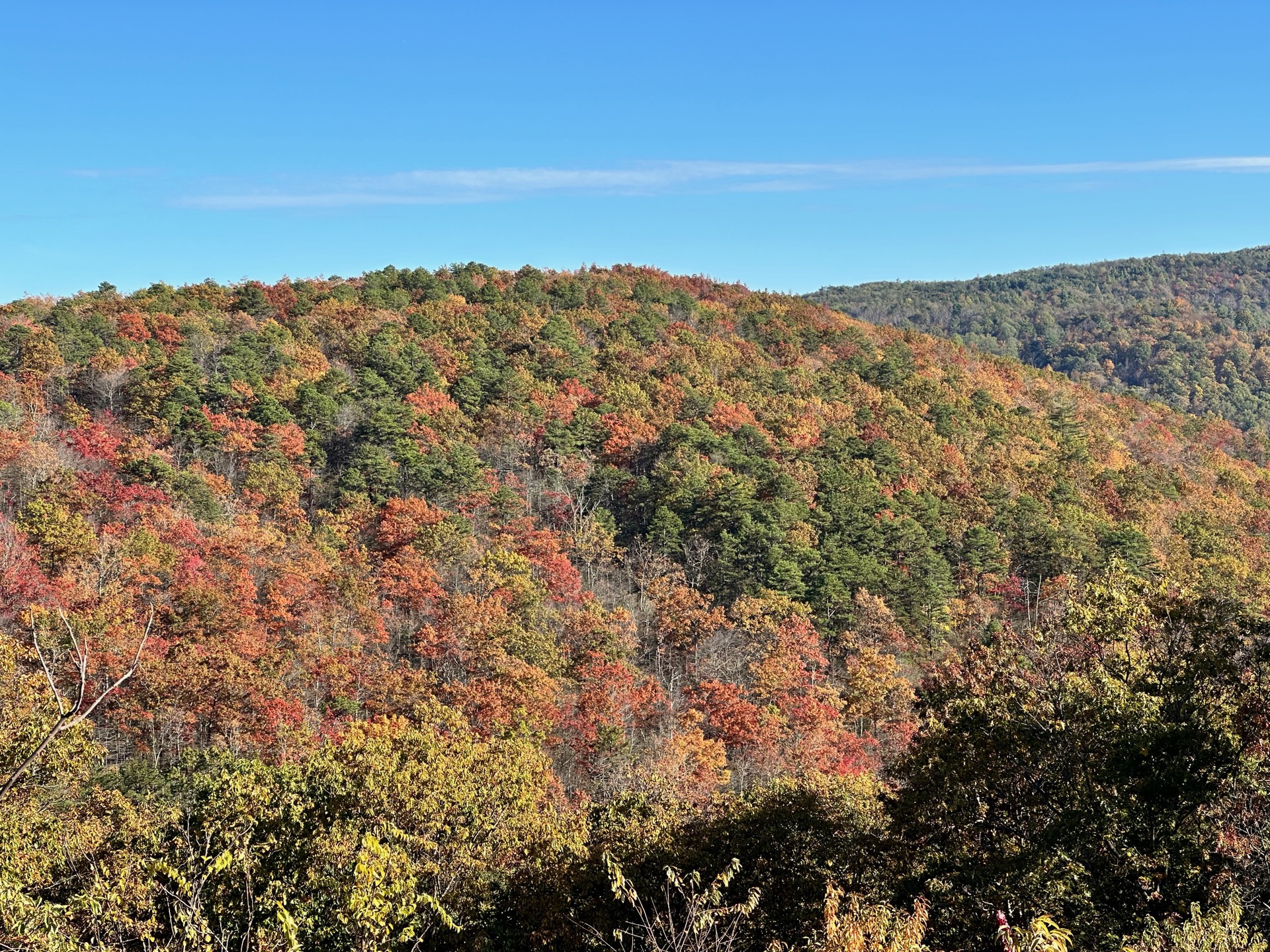 Shenandoah photo 10