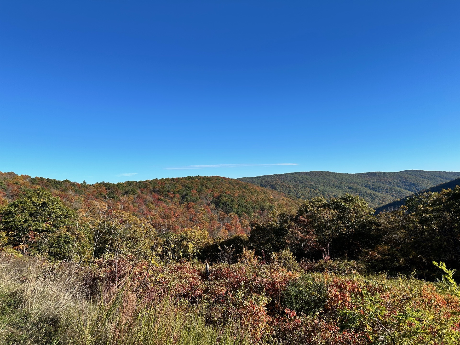 Shenandoah photo 11