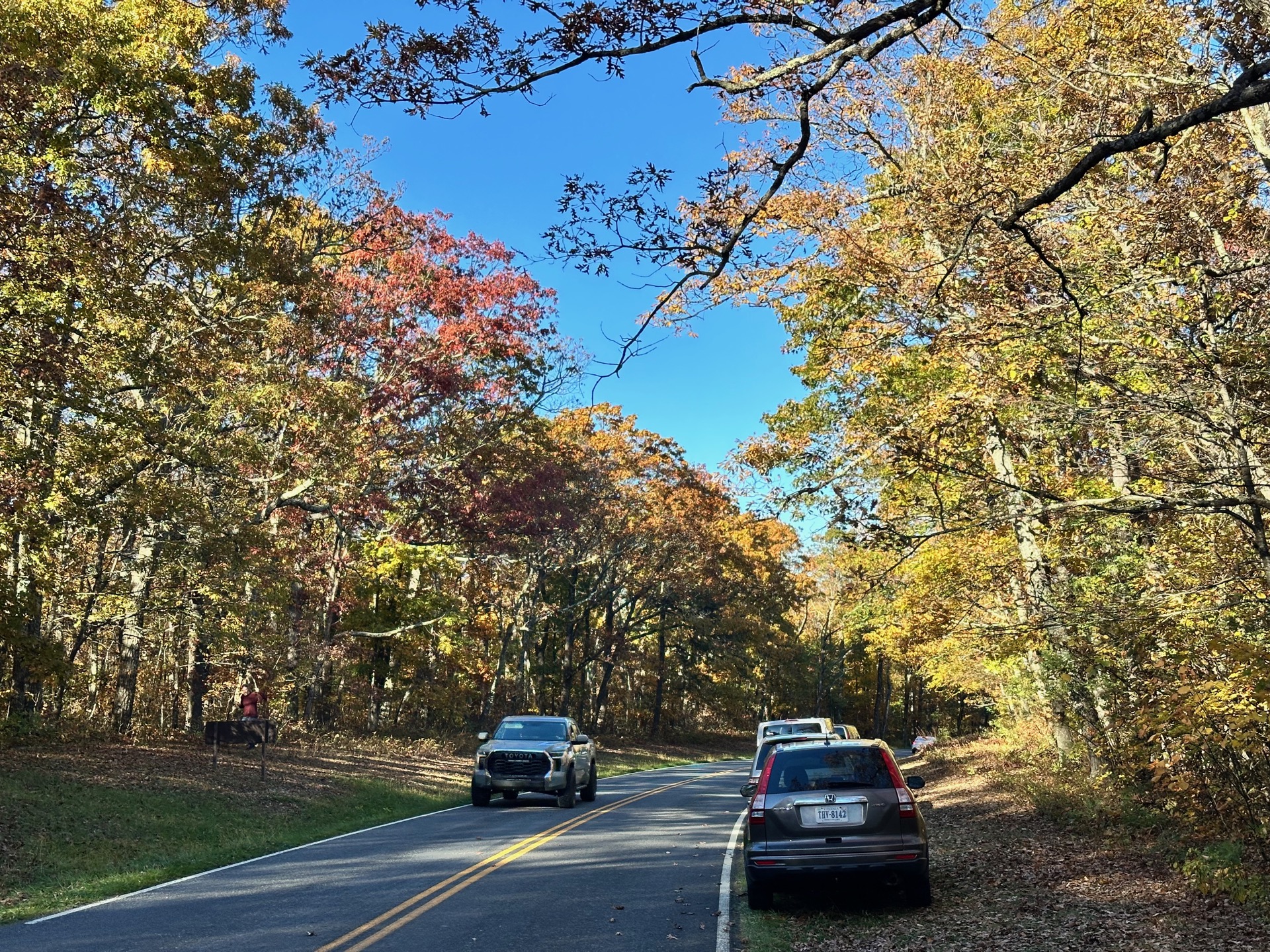 Shenandoah photo 14