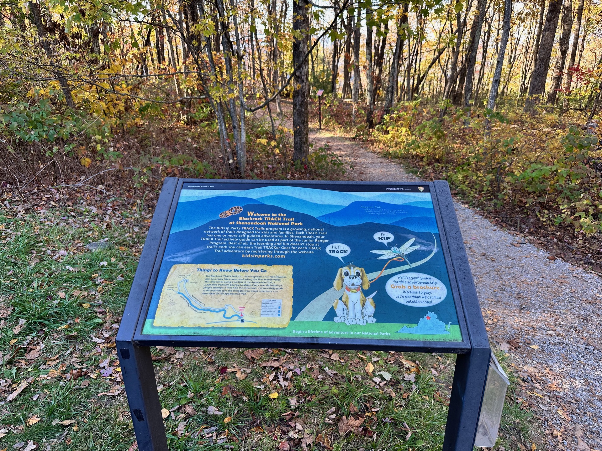 Shenandoah photo 18