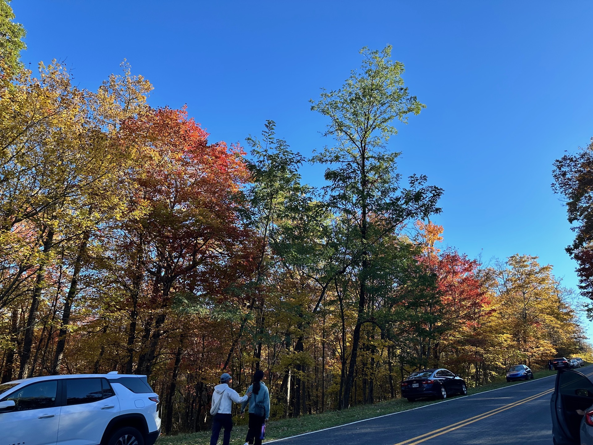 Shenandoah photo 19