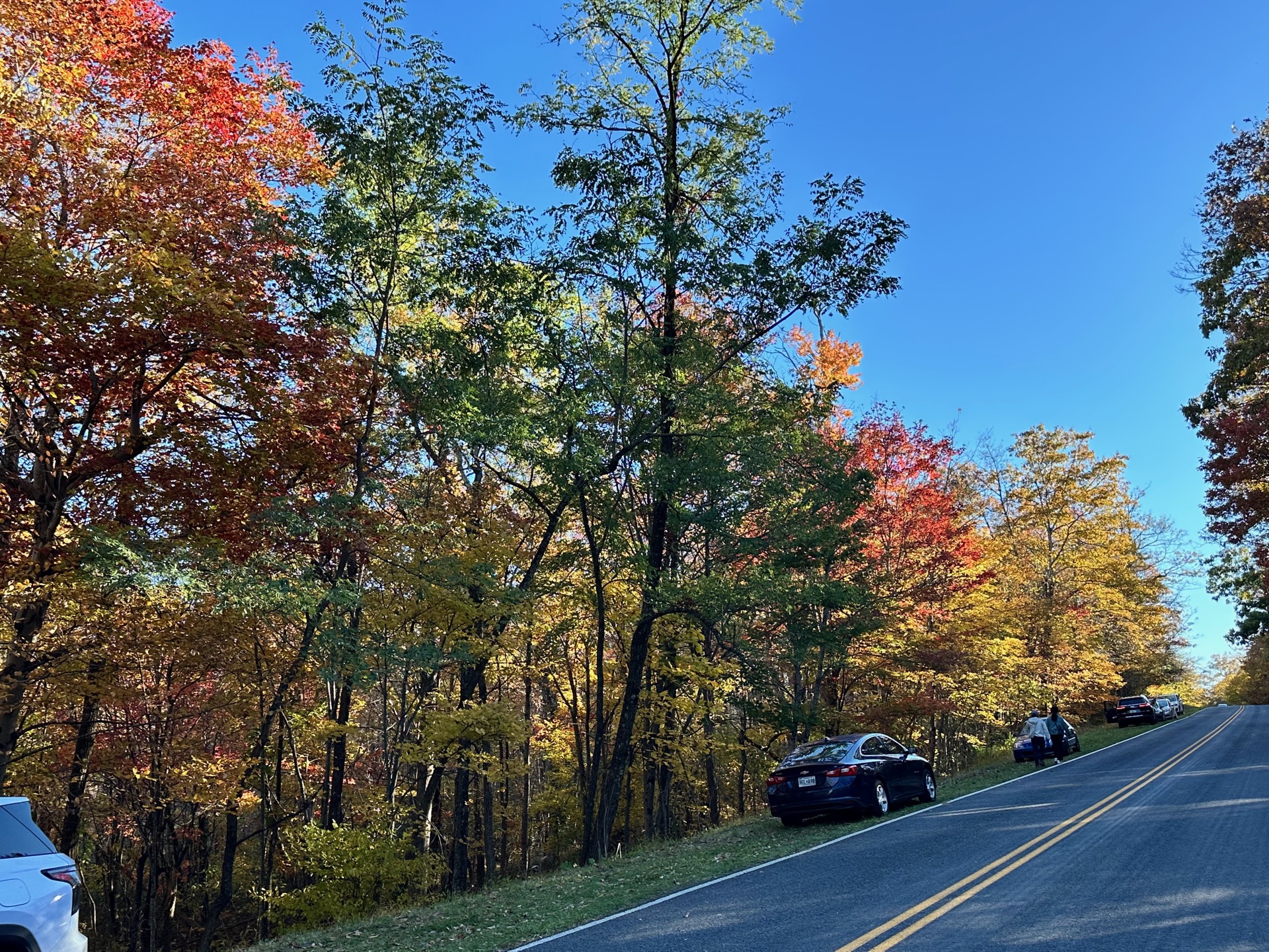 Shenandoah photo 20