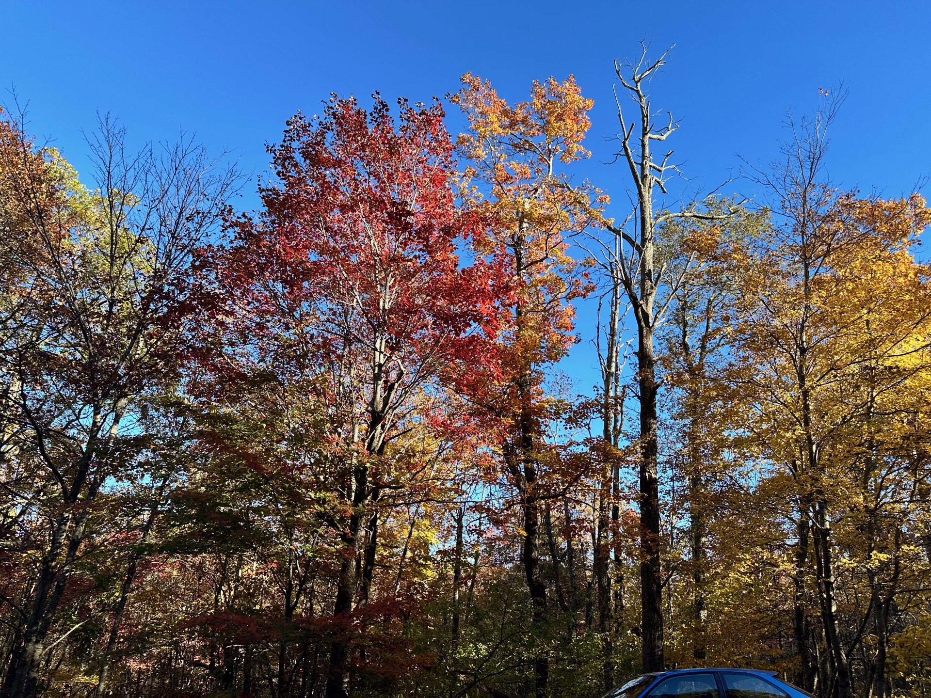 Shenandoah photo 21