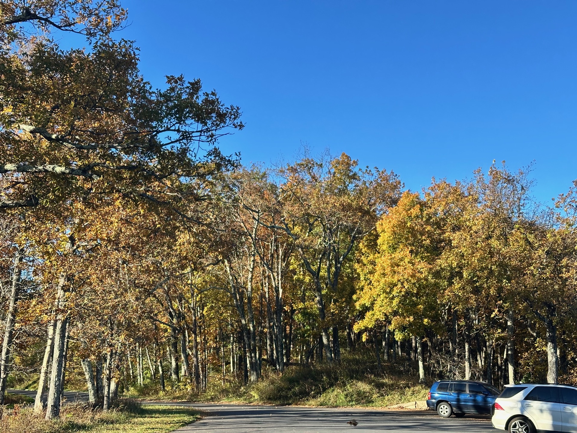 Shenandoah photo 22