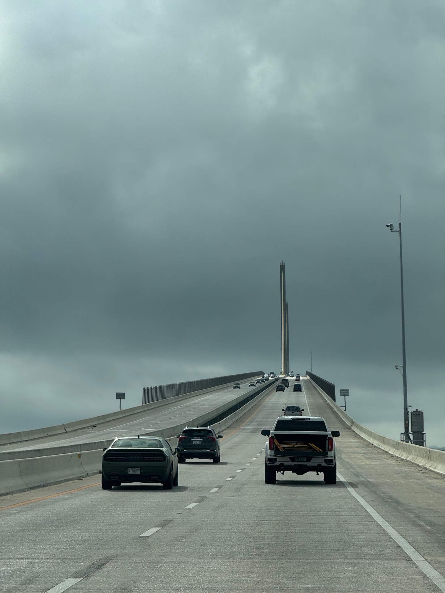 Tampa photo 14