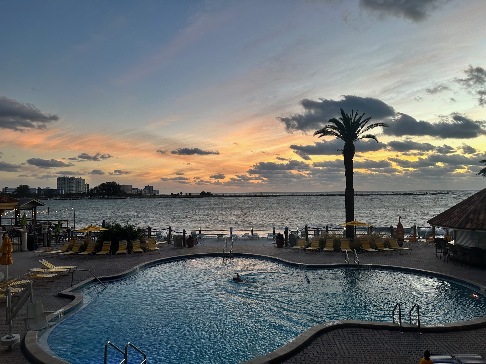 Tampa photo 31