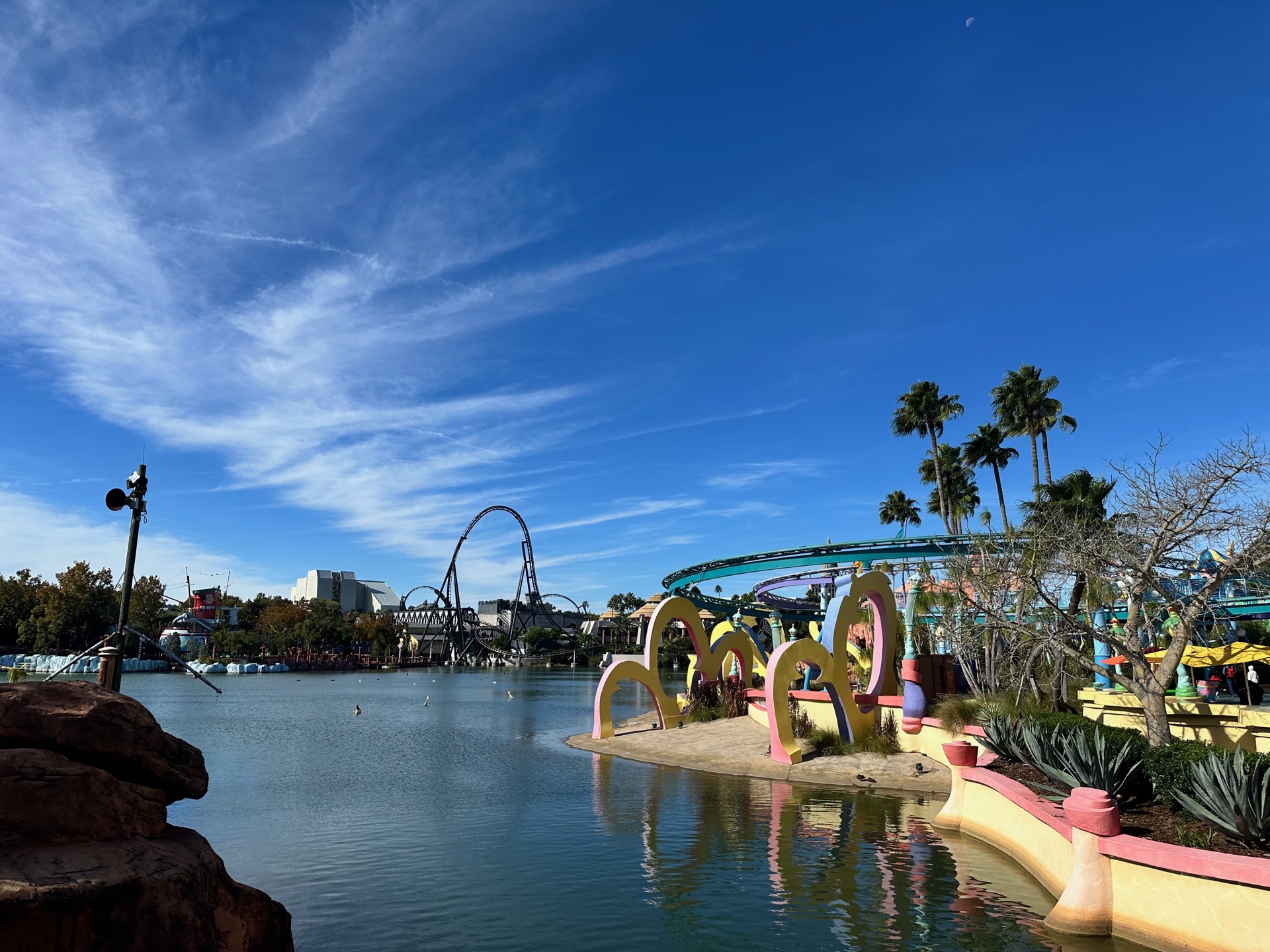 Tampa photo 32