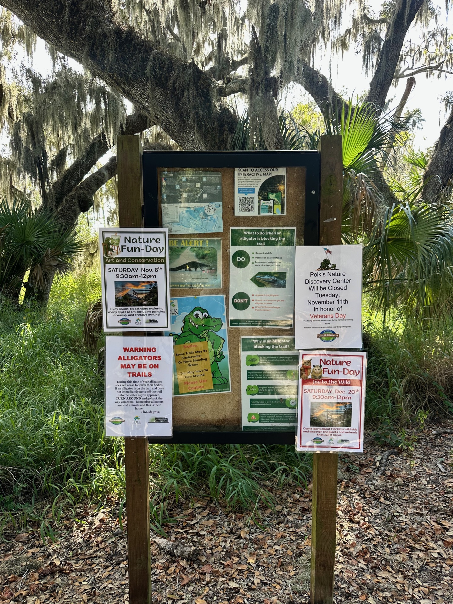 Tampa photo 44