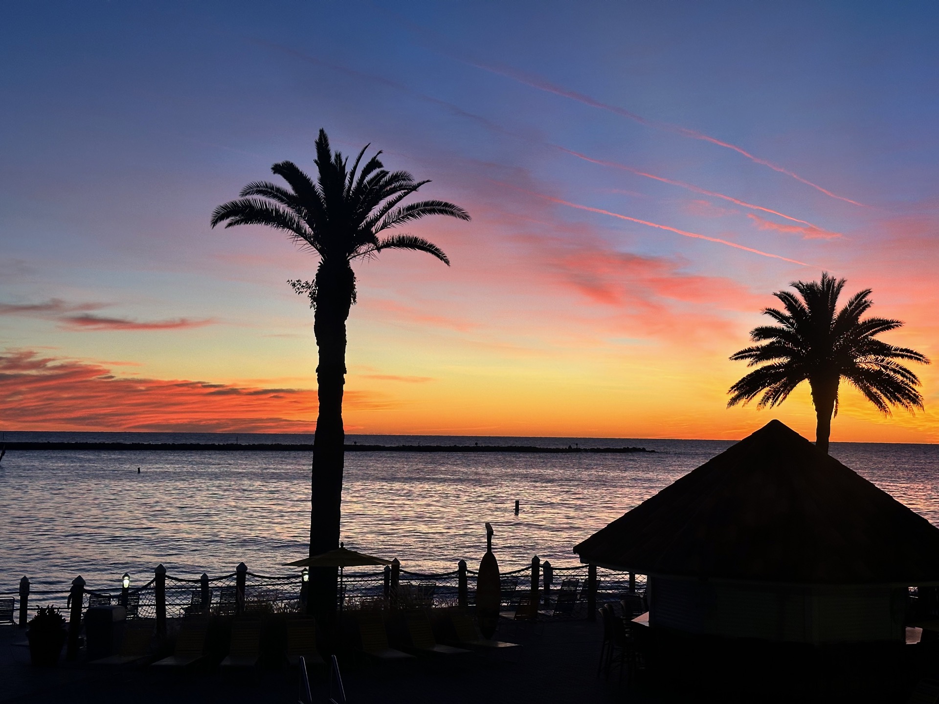 Tampa photo 45