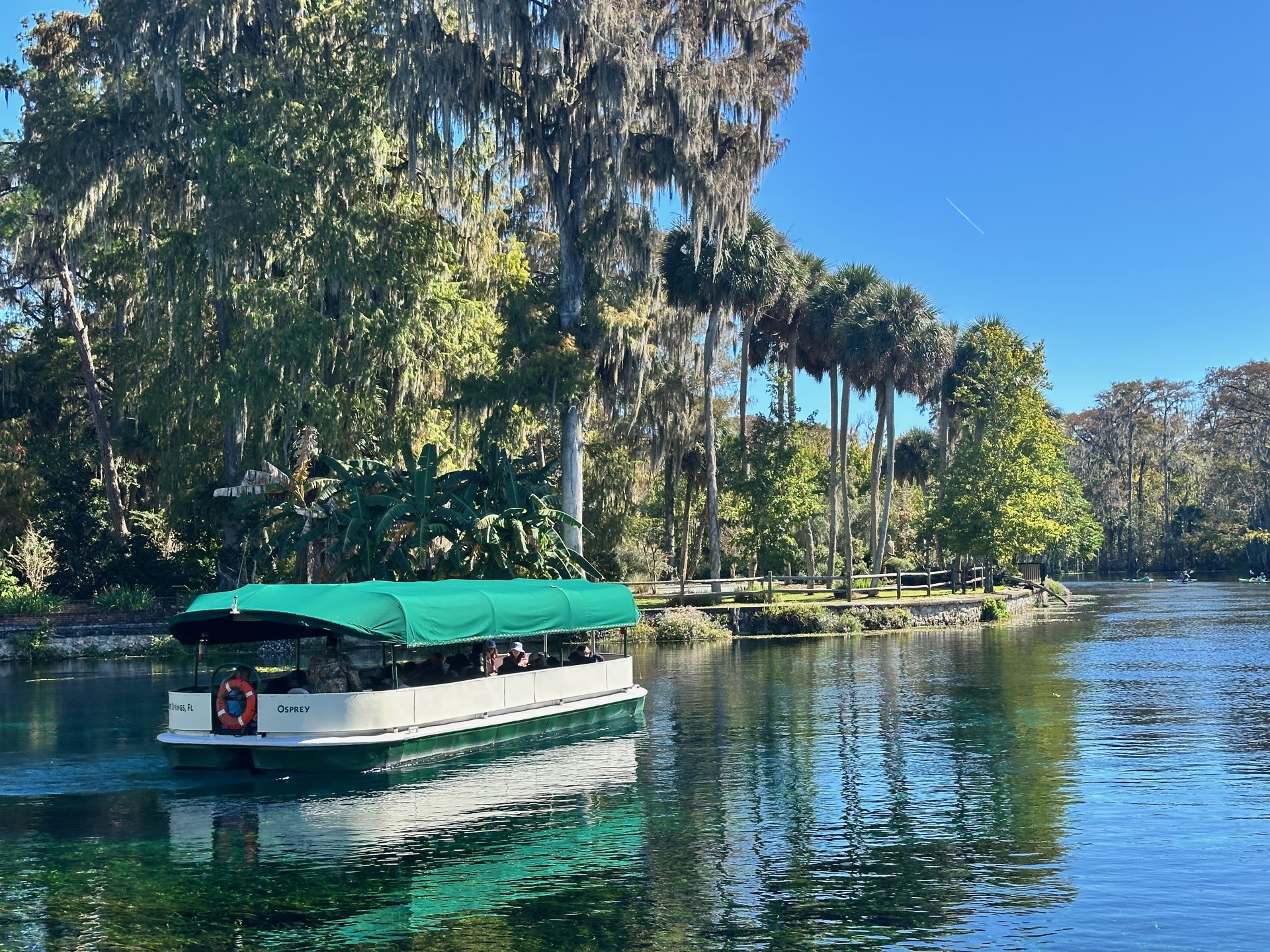 Tampa photo 46