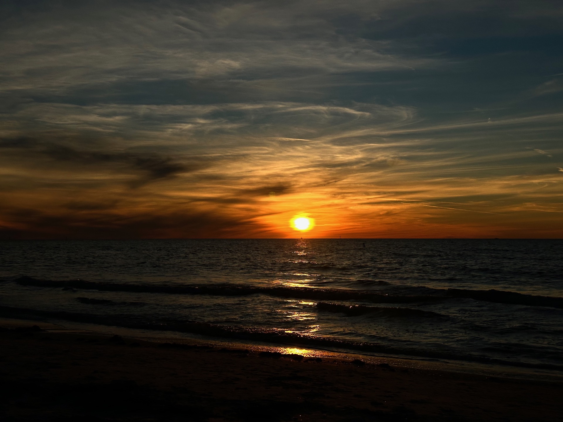 Tampa photo 48