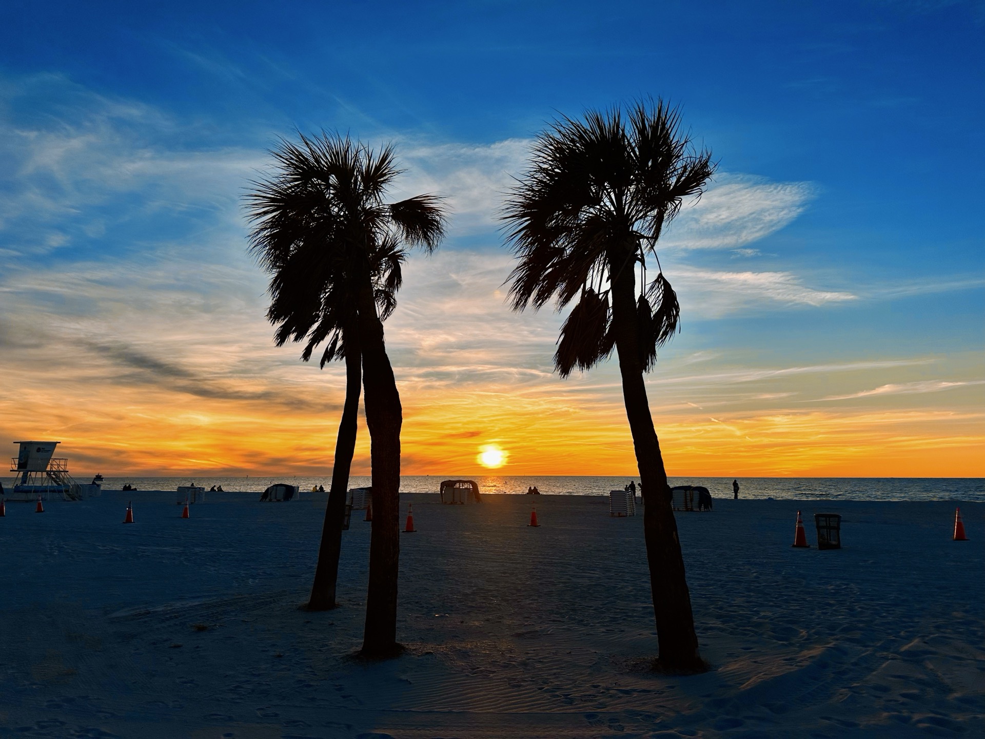 Tampa photo 50