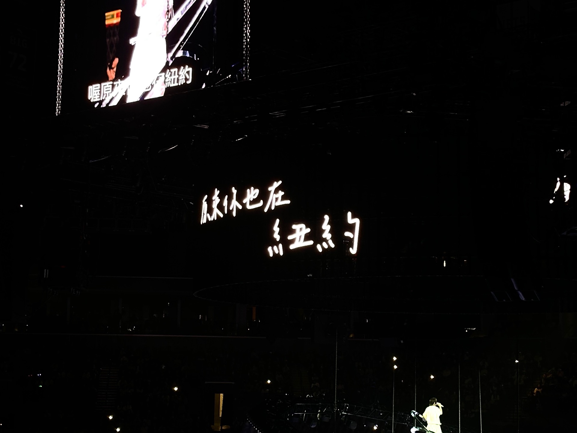 刘若英演唱会 photo 4