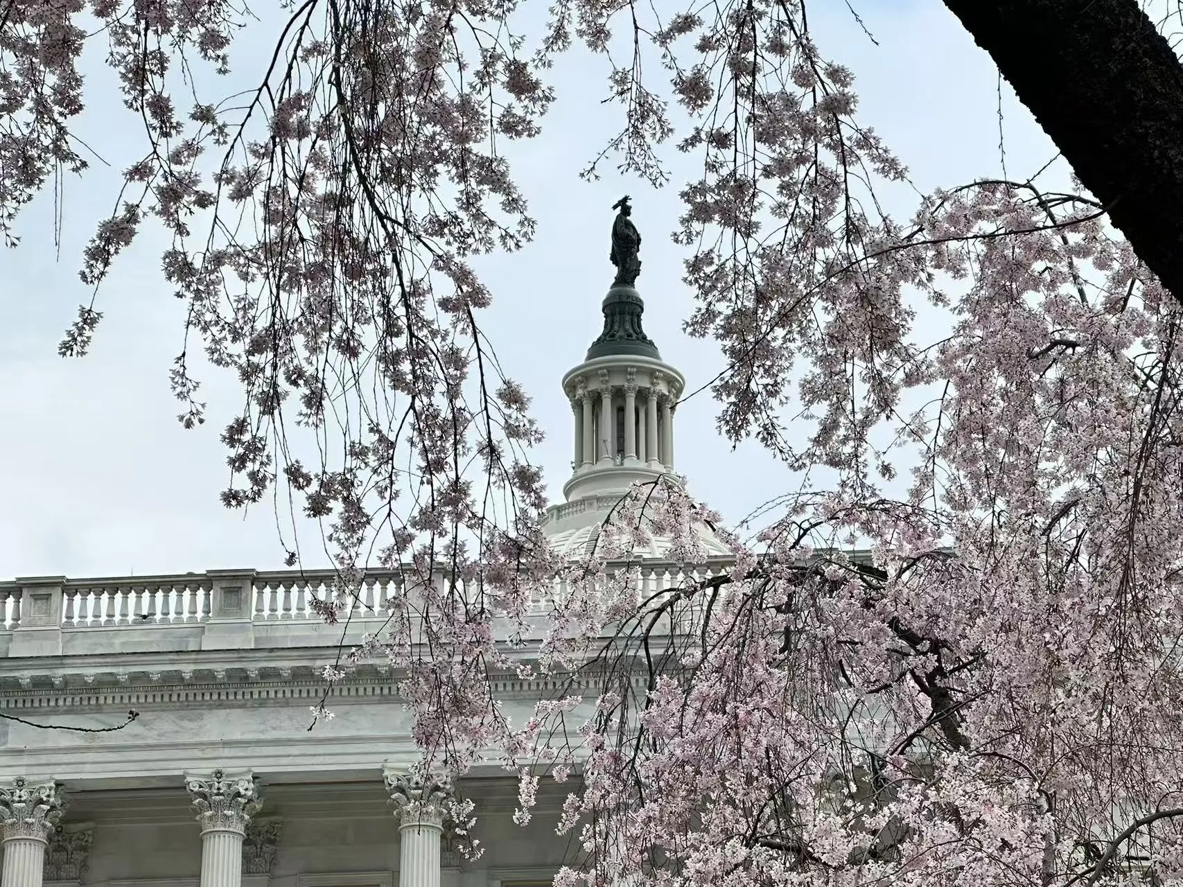 Washington D.C. travel cover