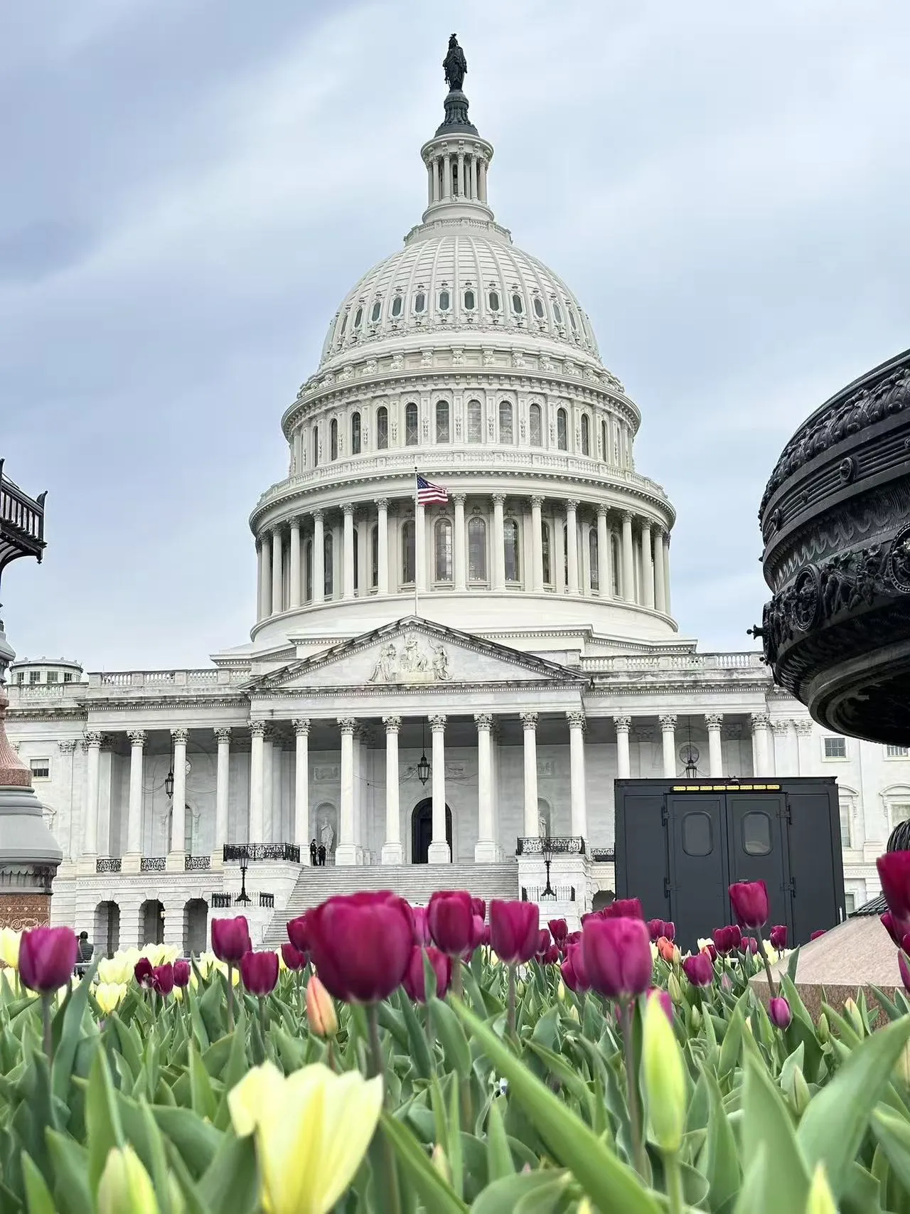Washington D.C. photo 5