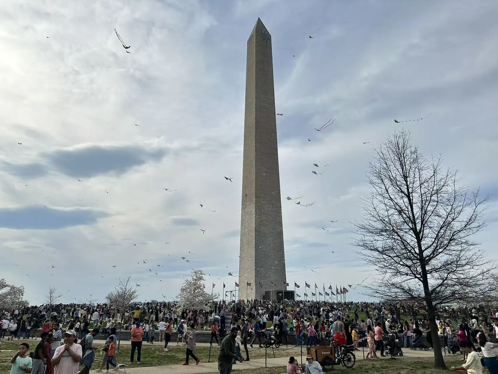 Washington D.C. photo 14