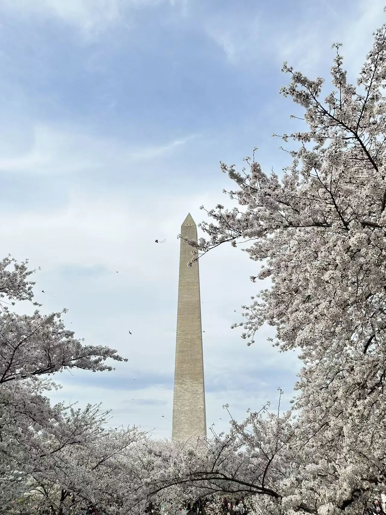 Washington D.C. photo 16