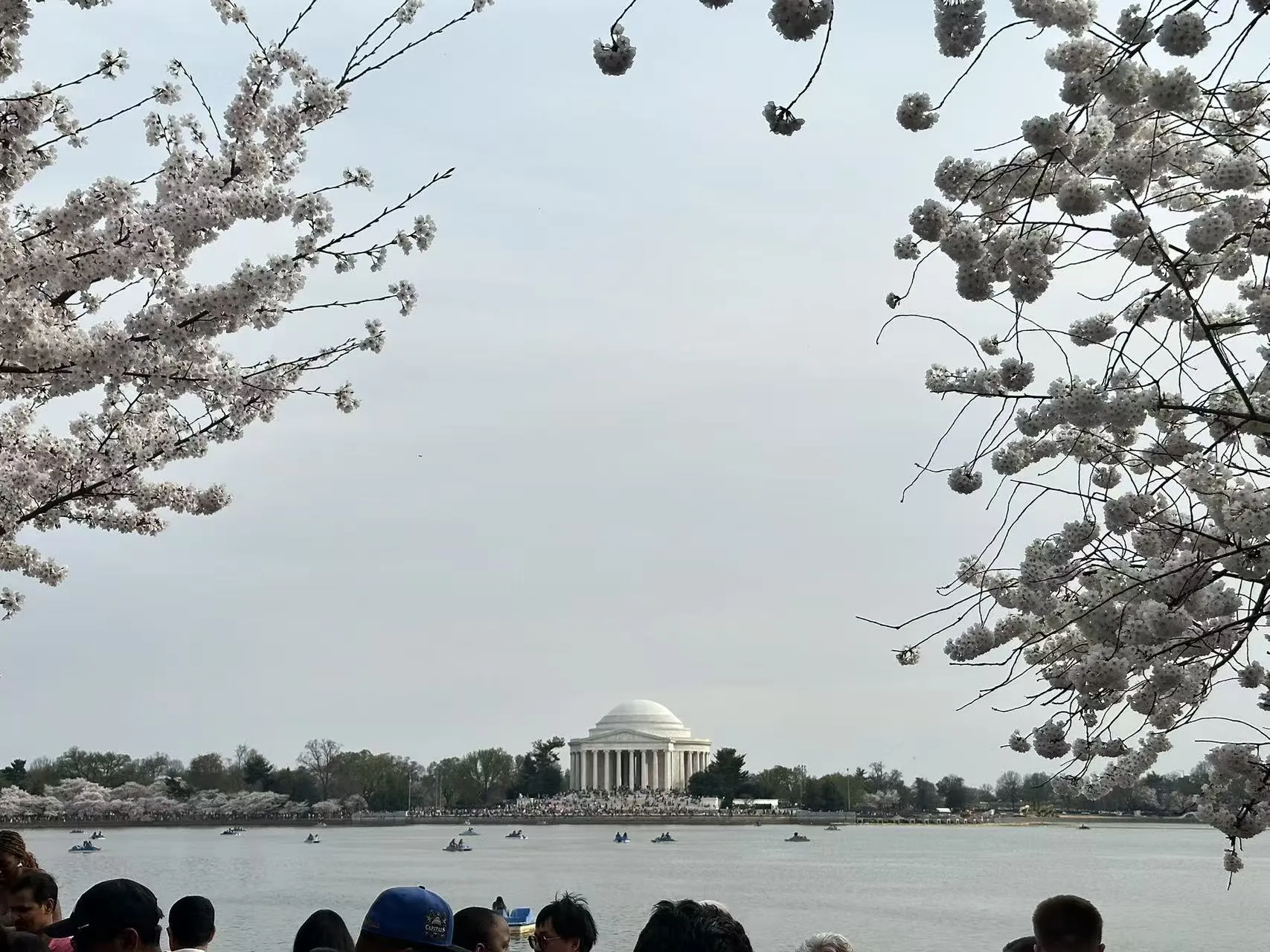 Washington D.C. photo 17