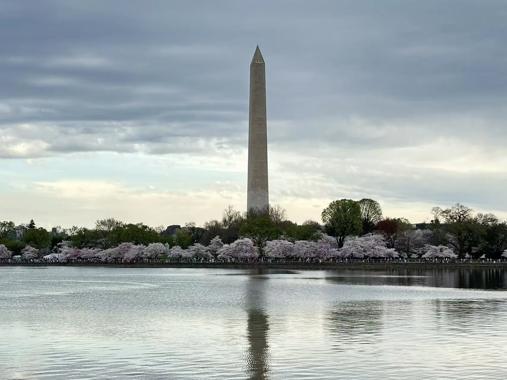 Washington D.C. photo 19
