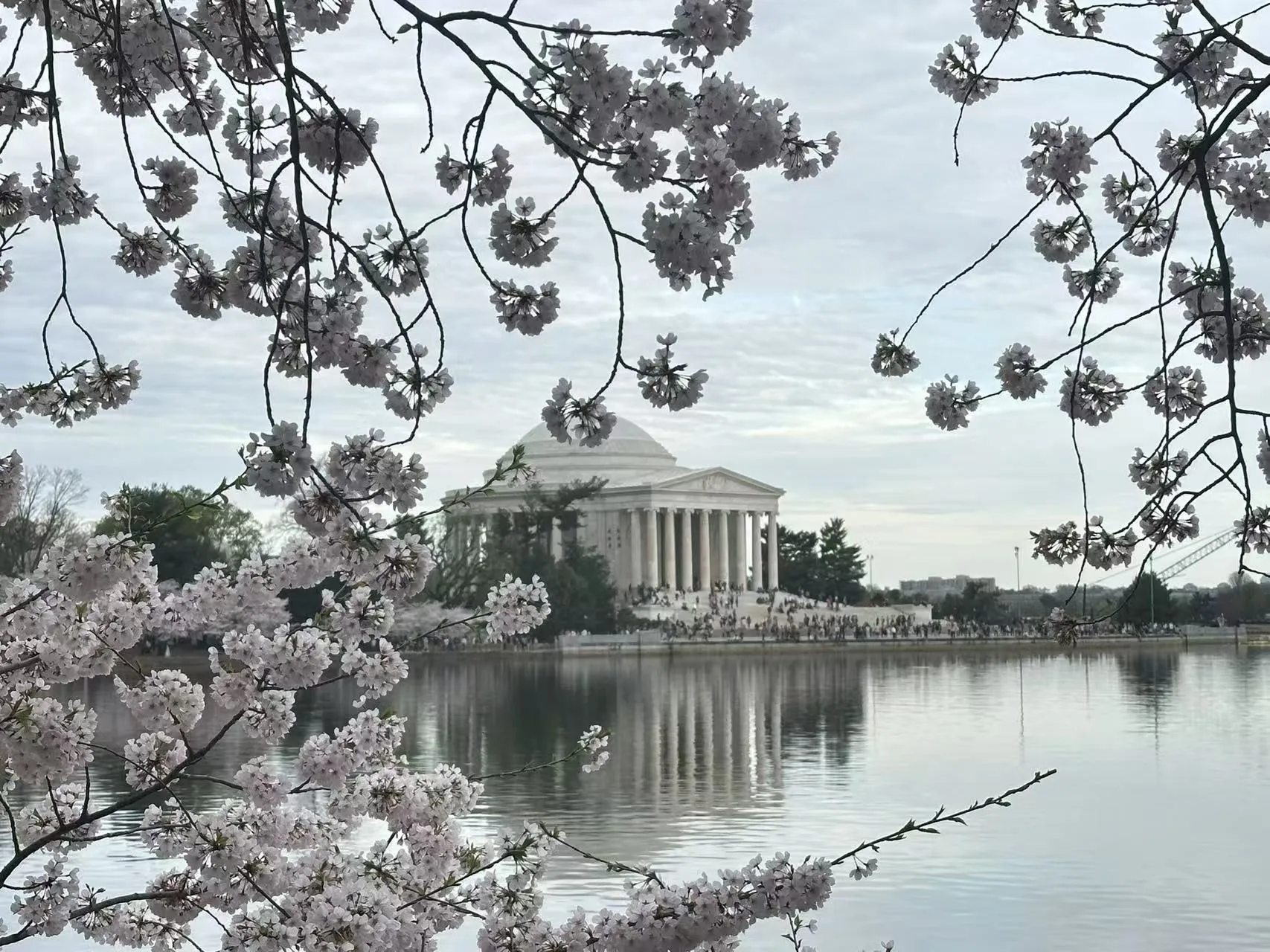 Washington D.C. photo 20