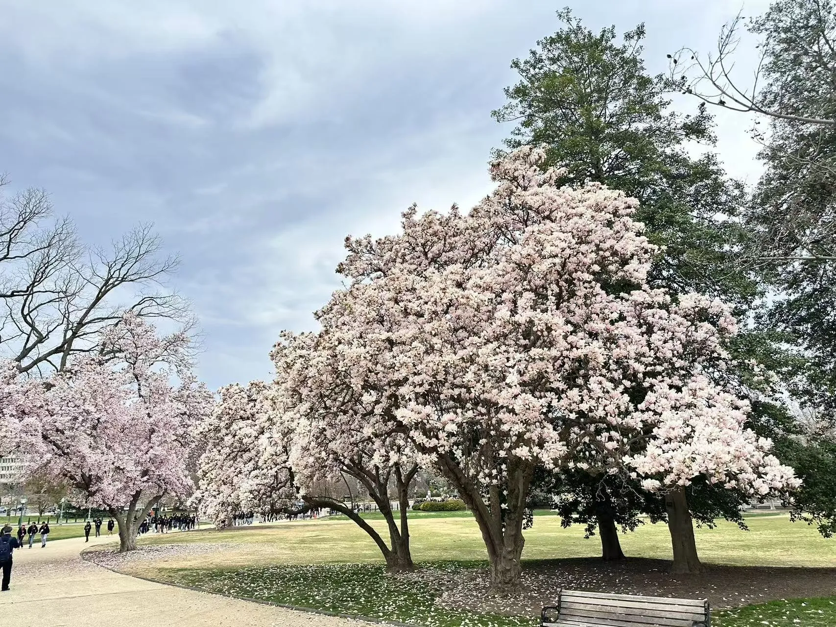 Washington D.C. photo 26