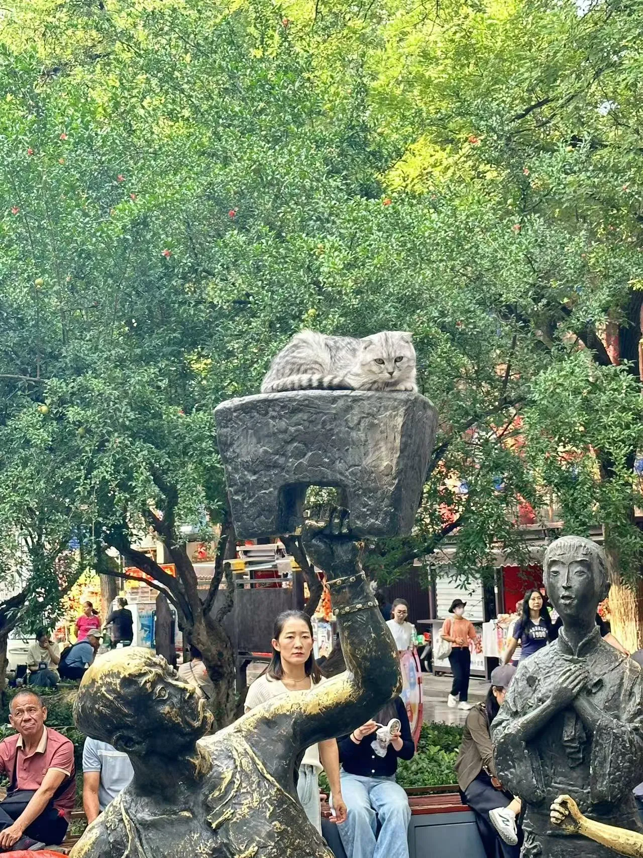 Xian(西安) photo 28