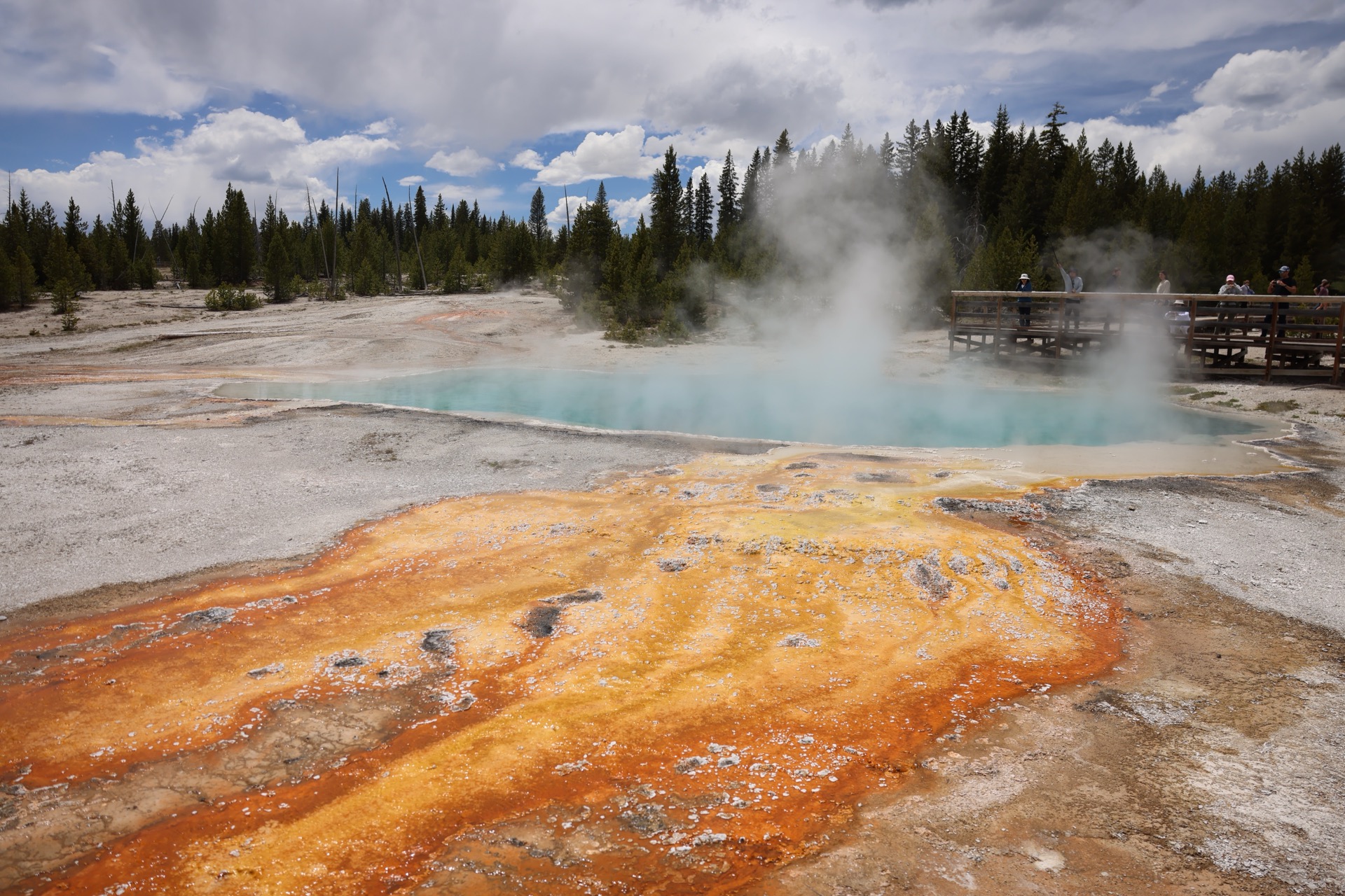 Yellowstone National Park photo 2