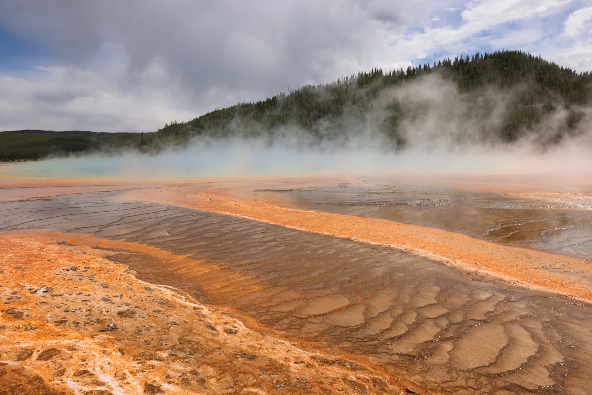 Yellowstone National Park photo 4