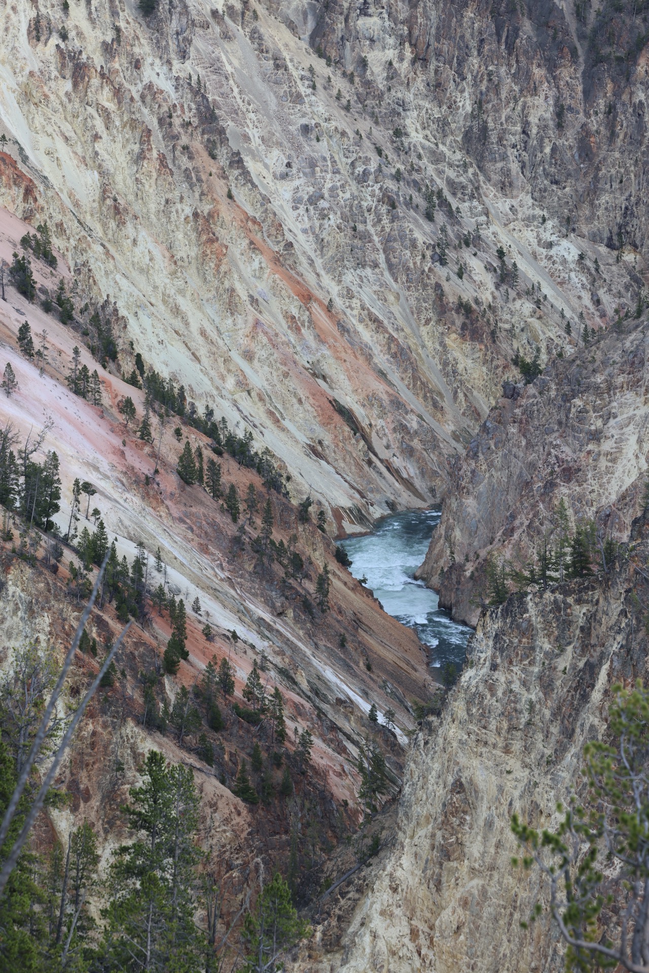 Yellowstone National Park photo 7