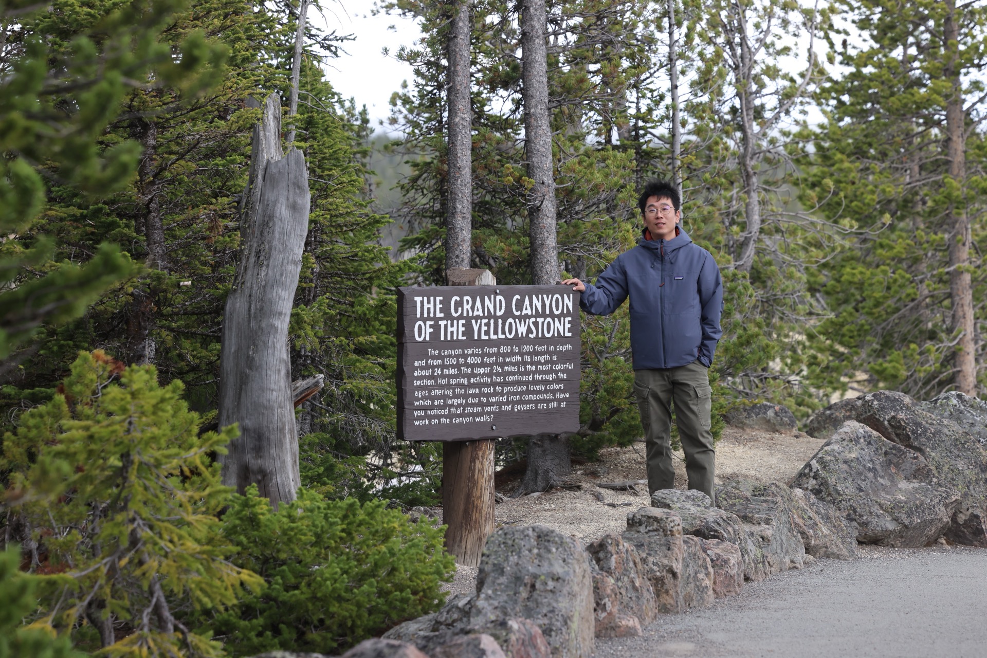 Yellowstone National Park photo 8