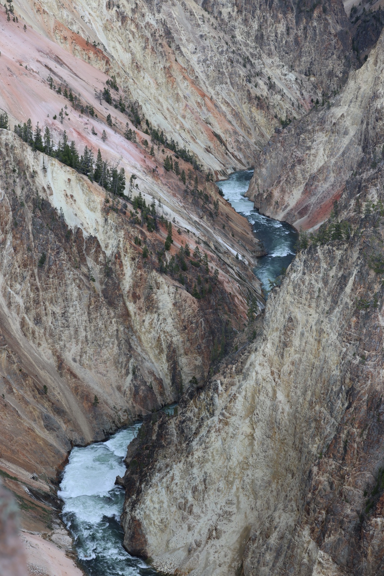 Yellowstone National Park photo 9