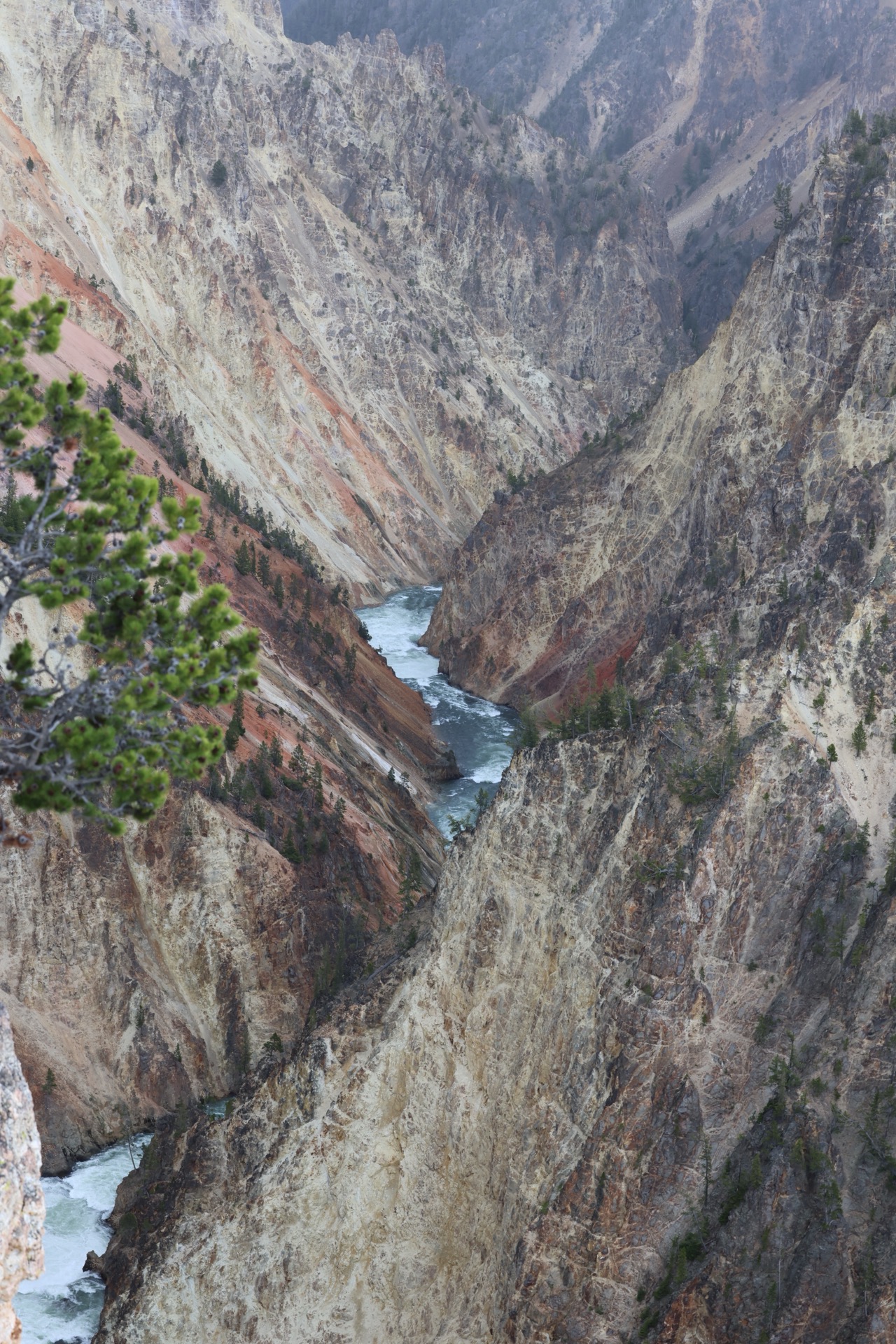 Yellowstone National Park photo 10