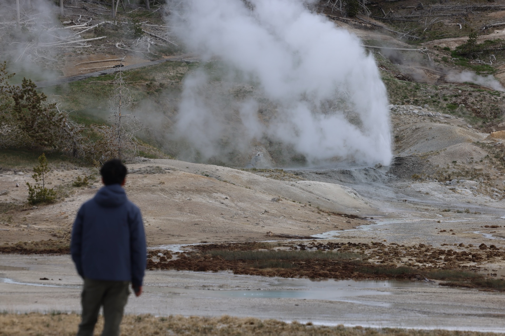 Yellowstone National Park photo 11