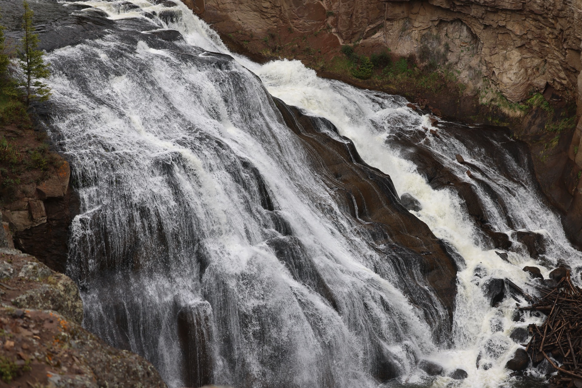 Yellowstone National Park photo 16