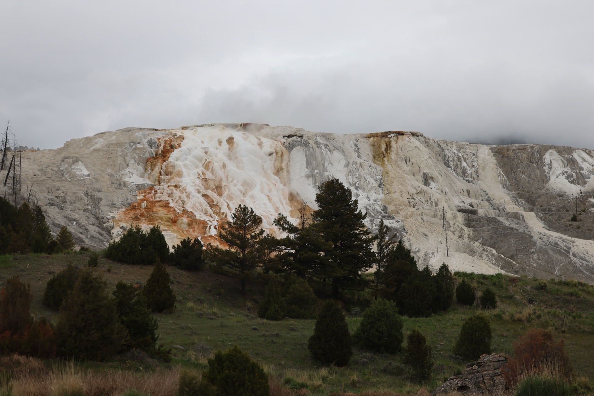 Yellowstone National Park photo 17