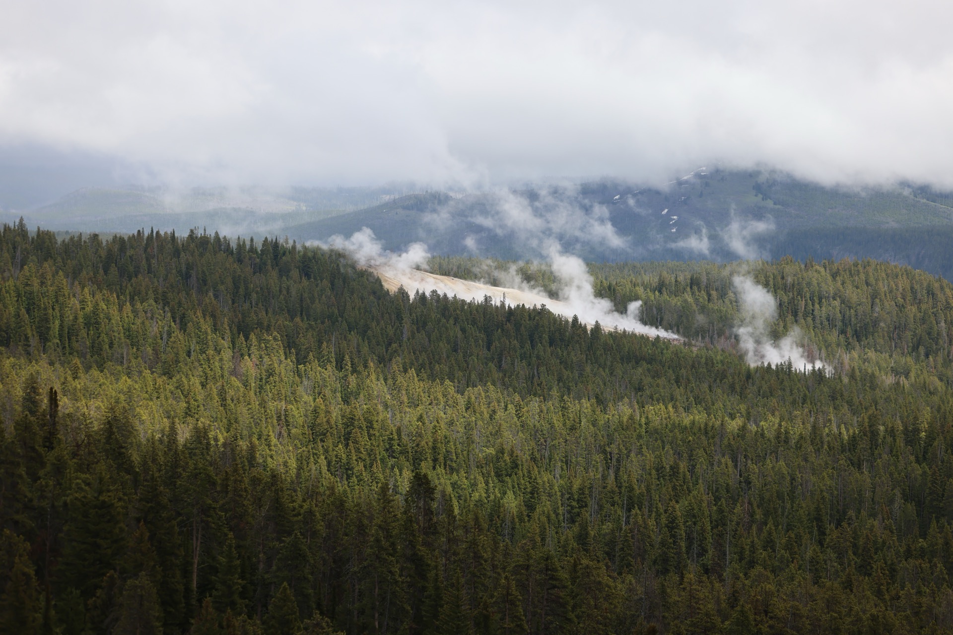 Yellowstone National Park photo 19