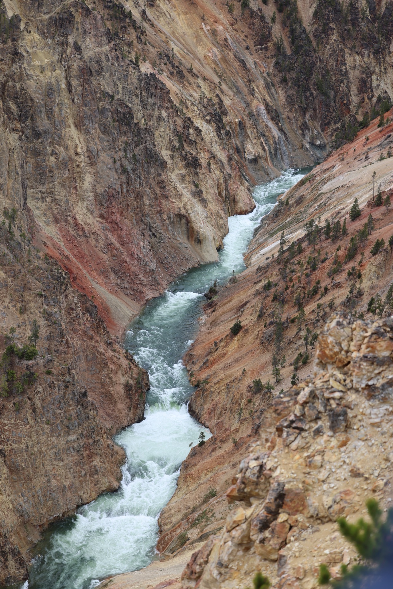 Yellowstone National Park photo 20