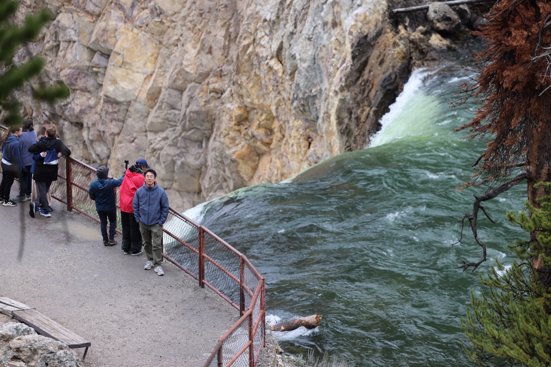 Yellowstone National Park photo 21