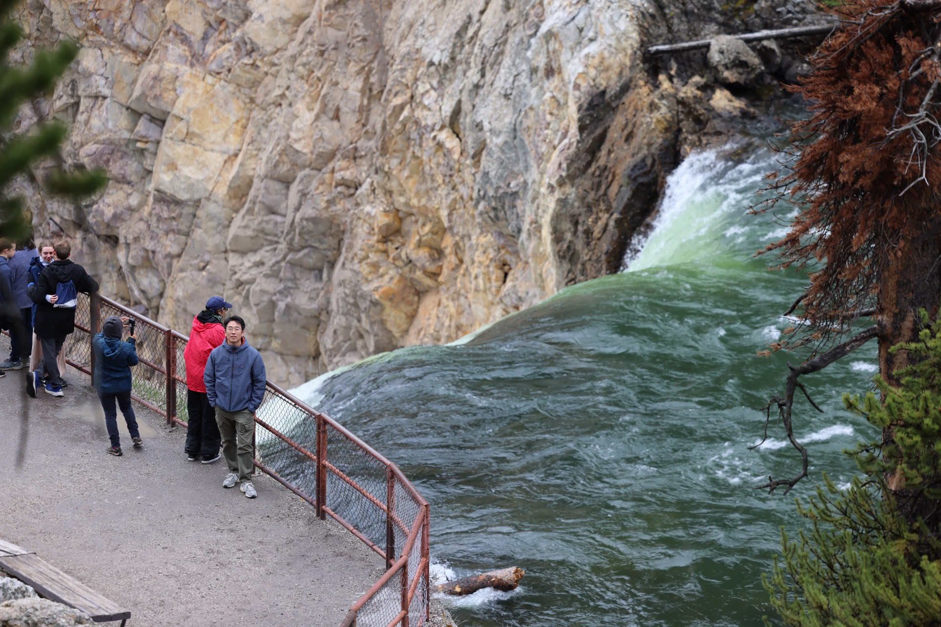 Yellowstone National Park photo 22