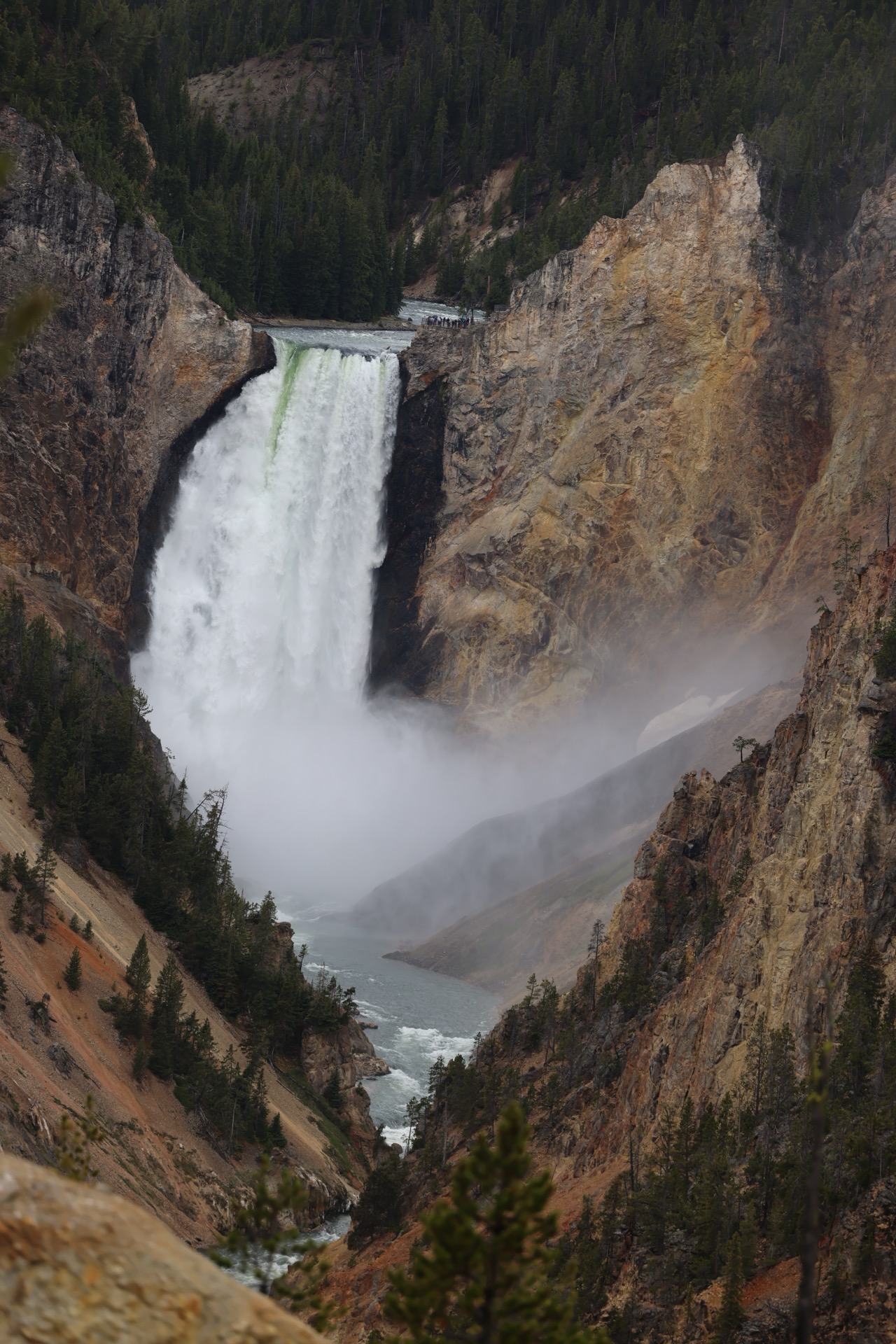Yellowstone National Park photo 23