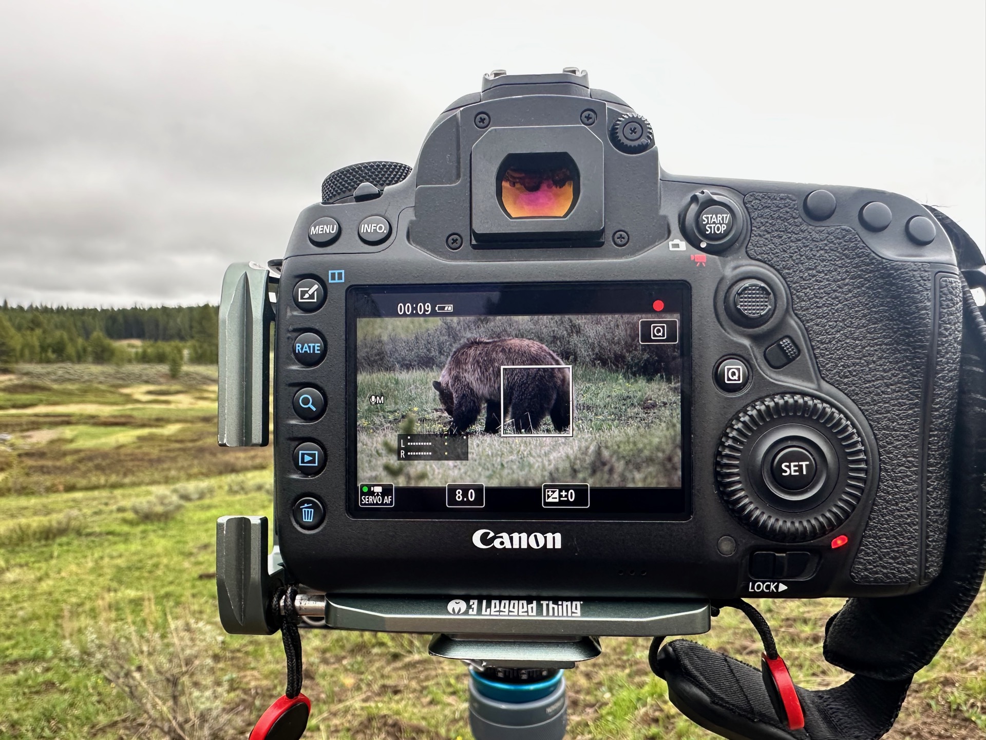 Yellowstone National Park photo 37