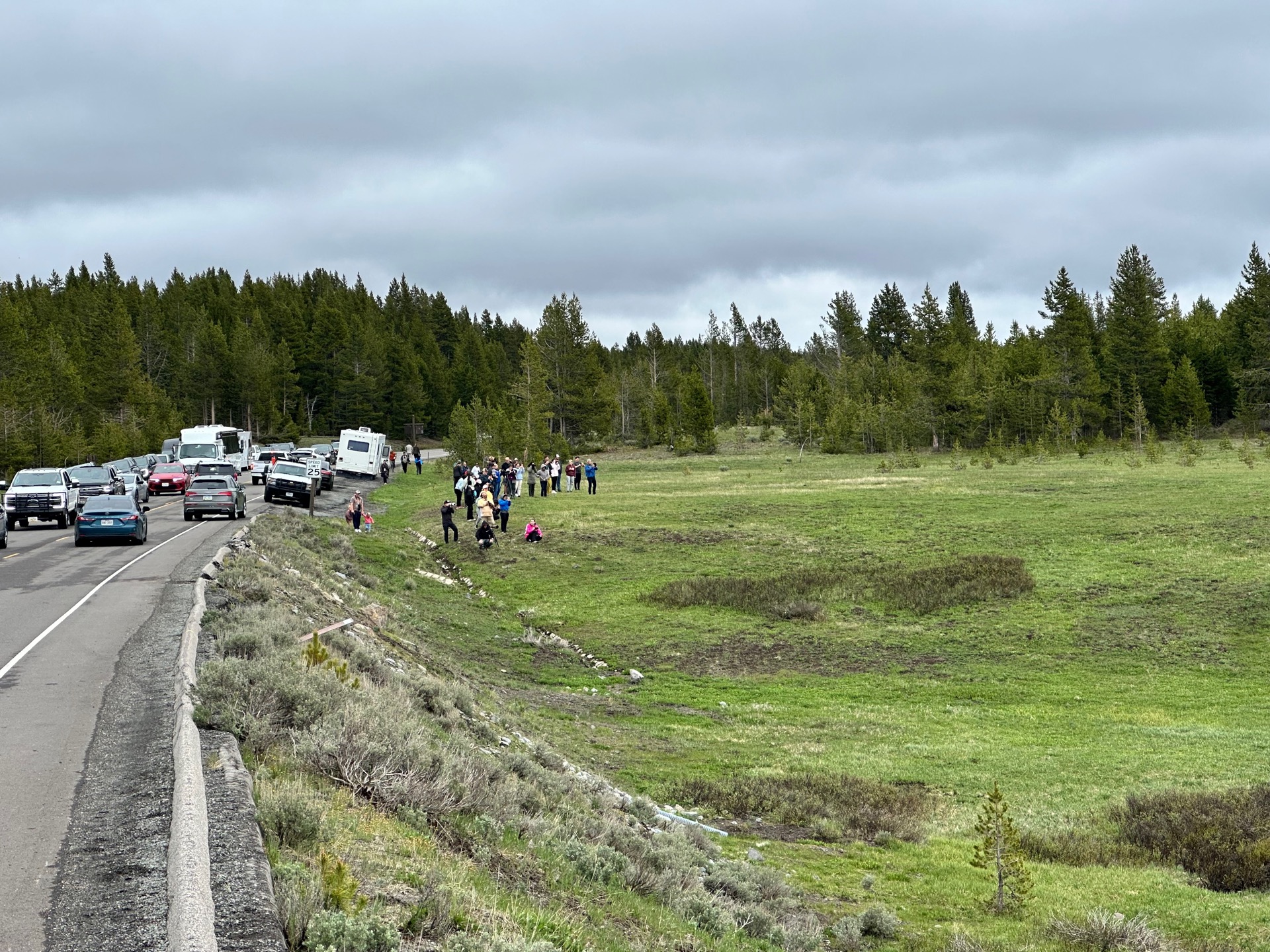 Yellowstone National Park photo 38